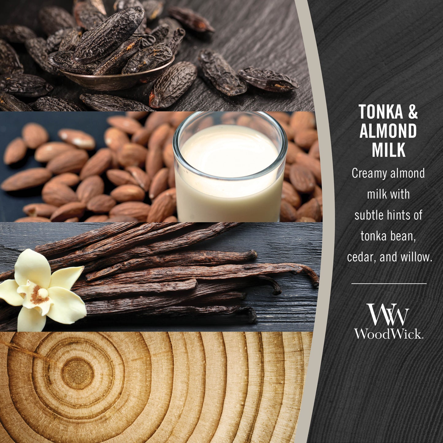 photo collage for woodwick tonka and almond milk fragrance with text that reads, creamy almond milk with subtle hints of tonka bean, cedar, and willow