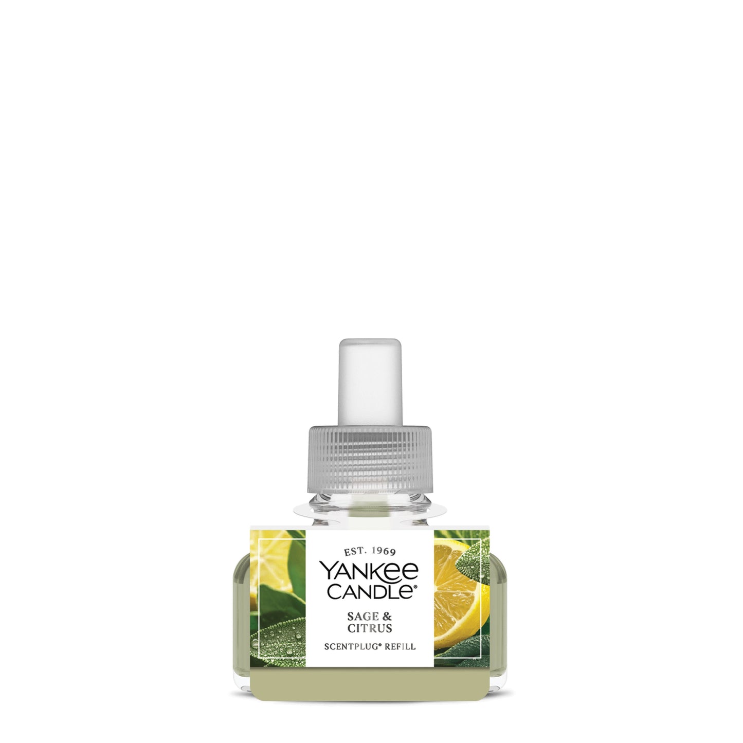 Sage & Citrus Edit 4-0208
